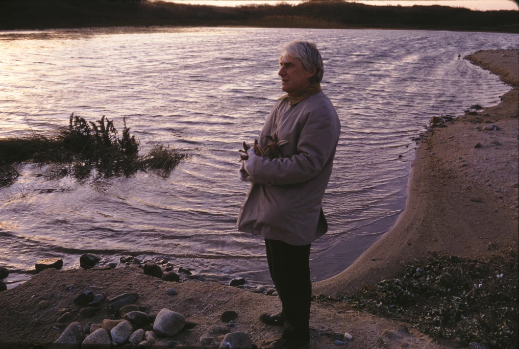 Willem de Kooning photographed in East Hampton. © The Estate of Dan Budnik.
